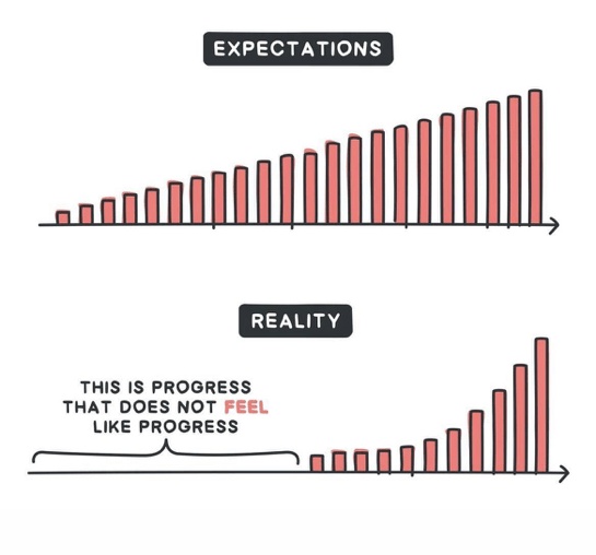 illustration of expectations versus the reality of SEO
