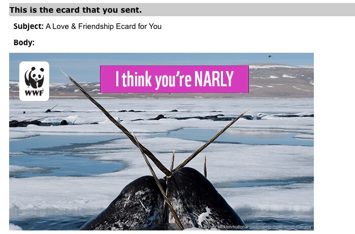 WWF e-card with two narwhals reading I think you're narly