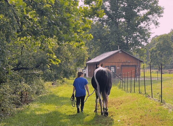 Team member leading a horse toward a barn